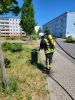 Brand