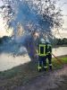Brand